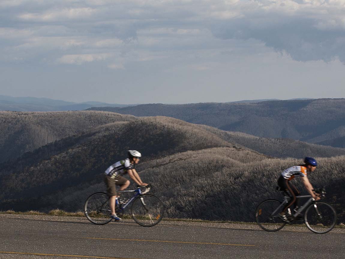 Road Cycling the Blue Ridge High Country