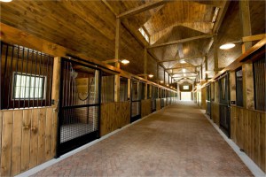 Horse Boarding - Overnight - Blowing Rock Equestrain Preserve