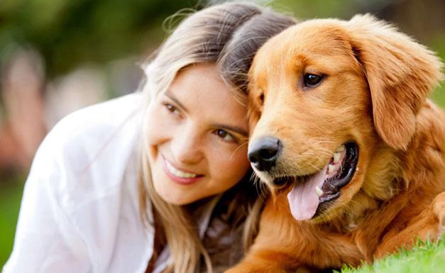 Pet friendly cabins