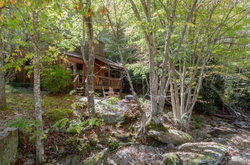 Andrea's Creek Cabin #1